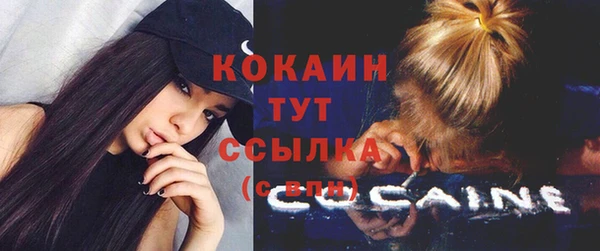 прущий лед Алзамай