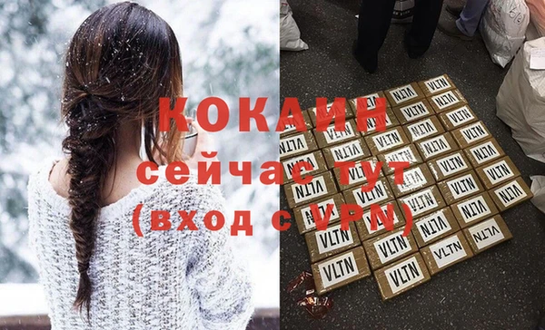 прущий лед Алзамай