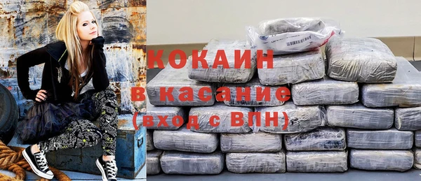 прущий лед Алзамай