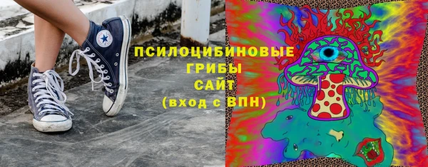 гашик Алексин