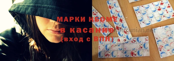 гашик Алексин