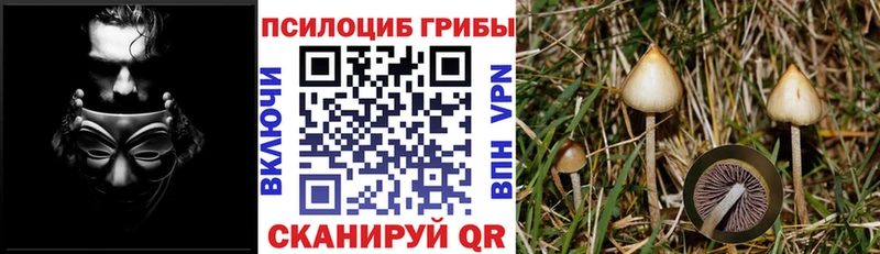 Псилоцибиновые грибы Psilocybe  продажа наркотиков  Духовщина 